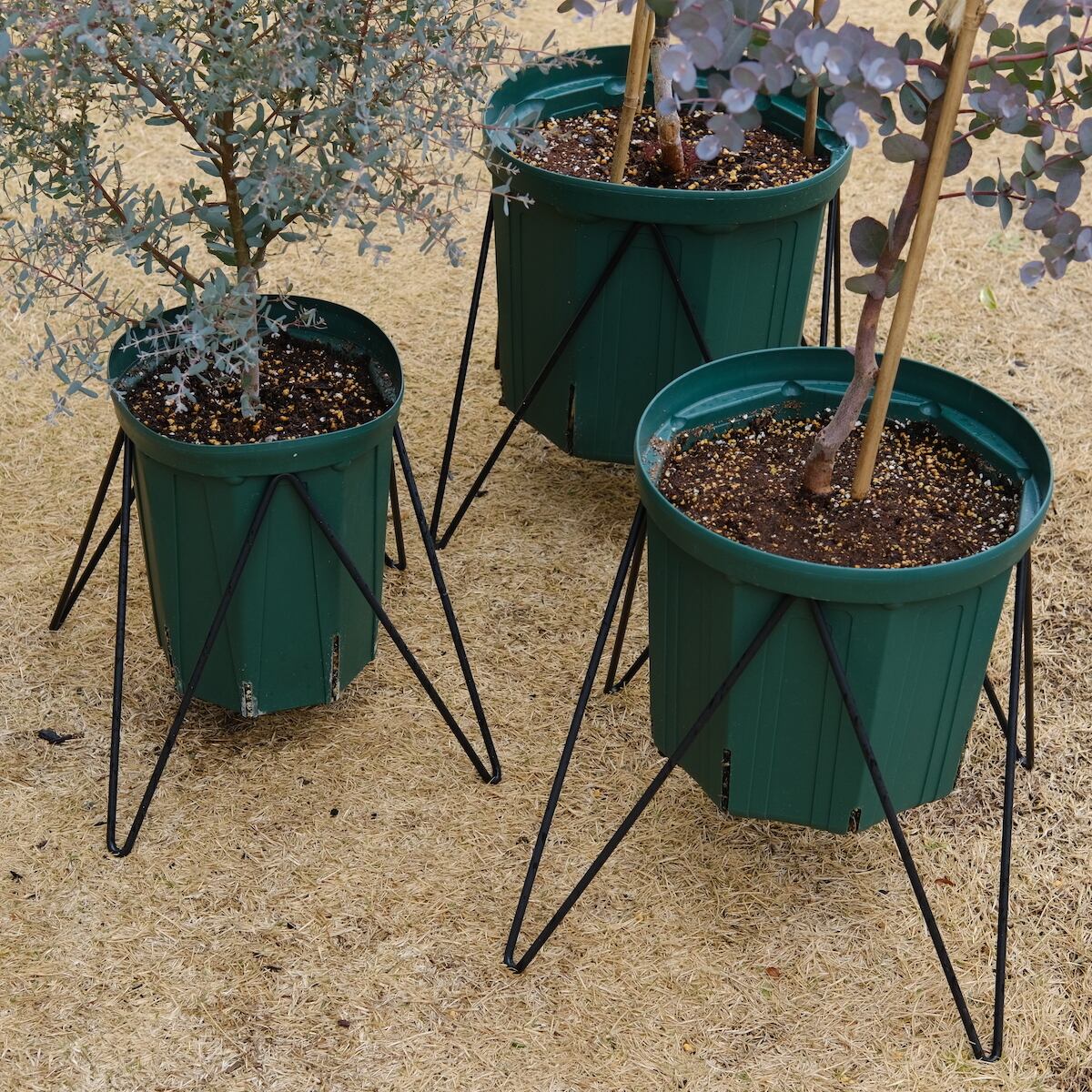 週末限定値下げMorris MD-510 1984-5年製 デッドストックに近い 超美品