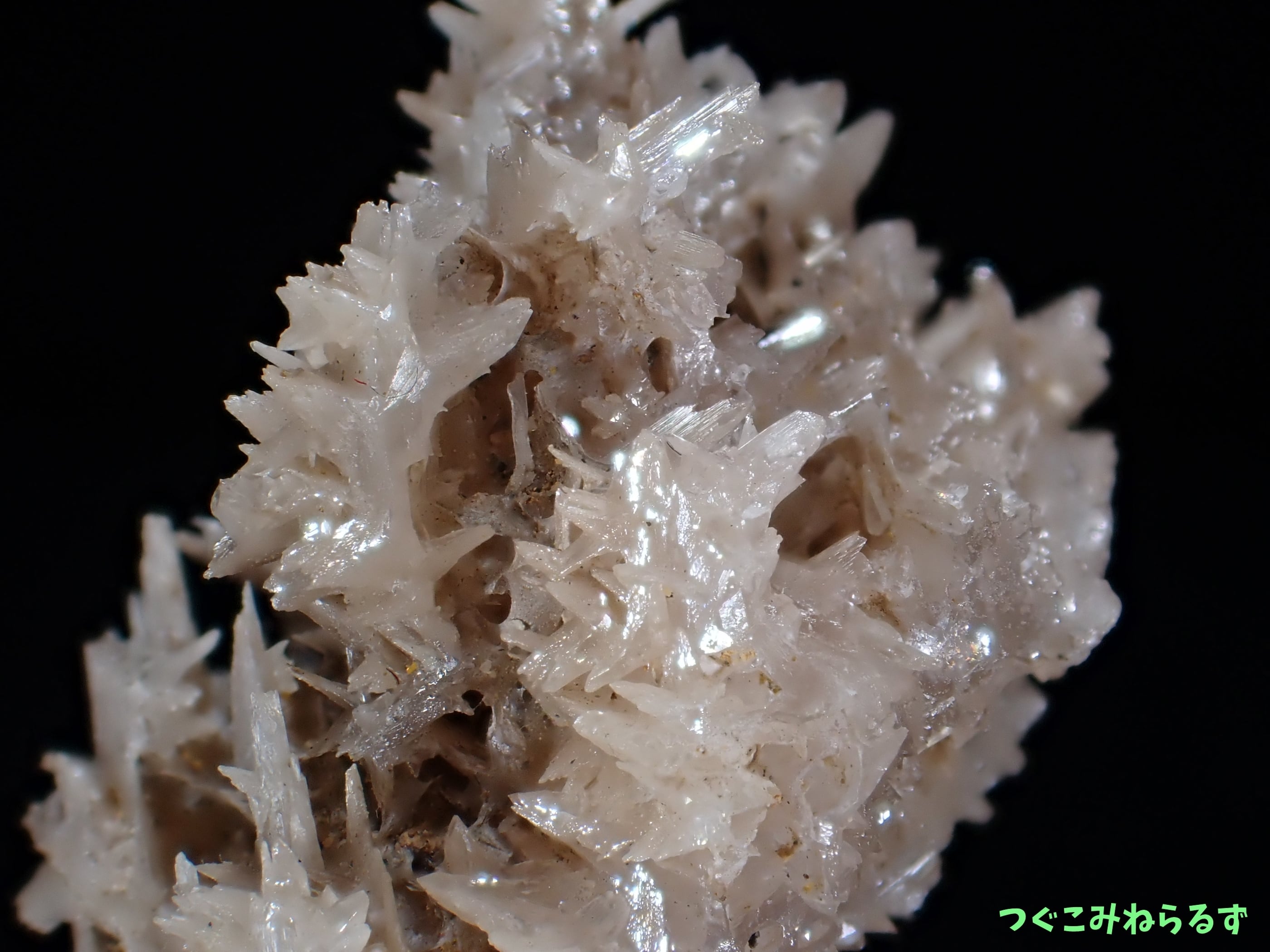 セルサイト 白鉛鉱 イラン TM-513 | つぐこみねらるず ｜鉱物・原石