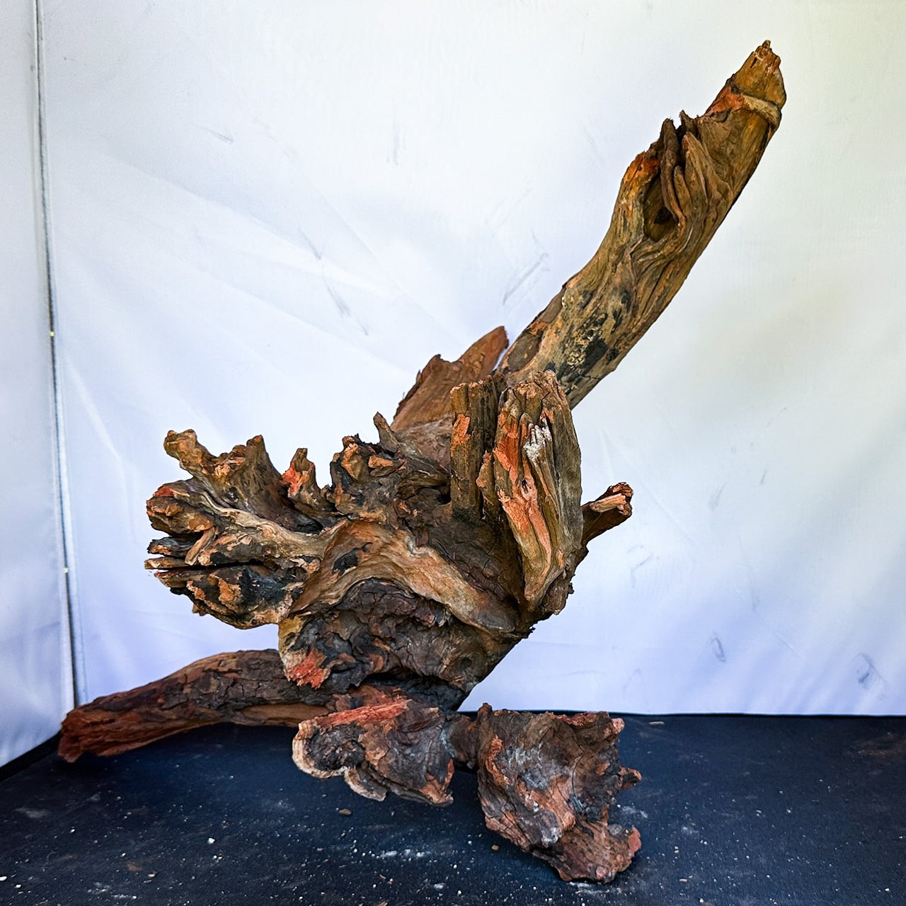 ディープホーンウッド | アクアリウム 大型流木通販ショップ