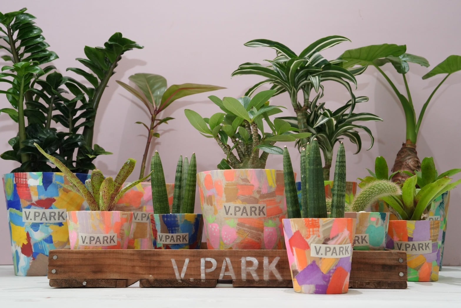 激レア earnest hearts pot volt type-RE 植木鉢 激レア earnest