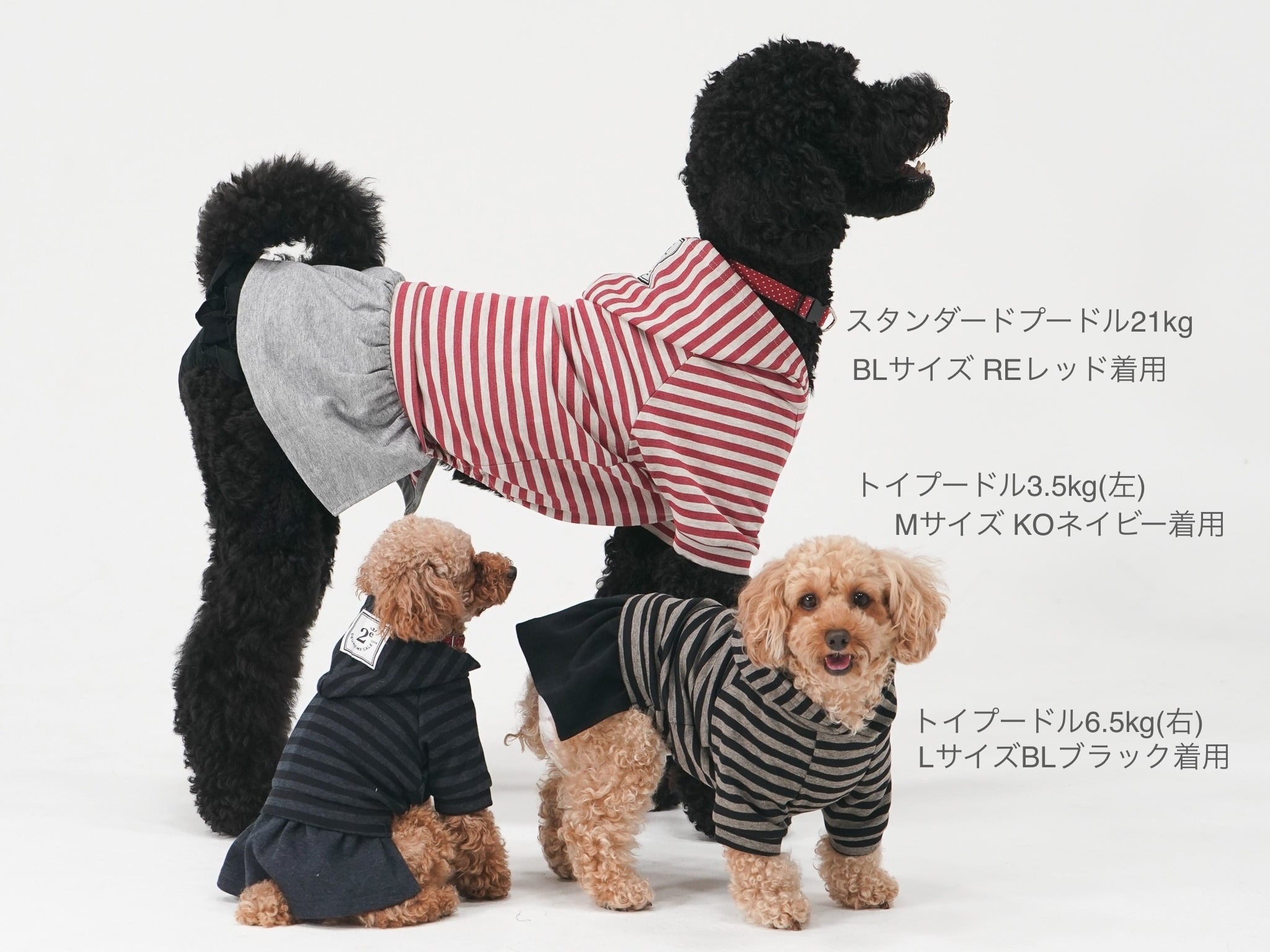 犬服 ワンピース(M) ꒡̈⃝Lily꒡̈⃝ハンドメイド 【公式通販】