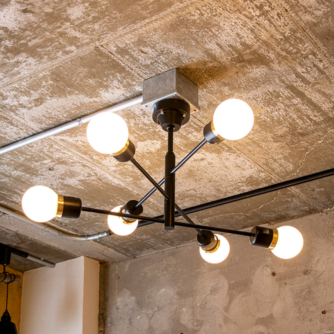 DEVON シーリングライト | gram eight（グラムエイト）| オーダー