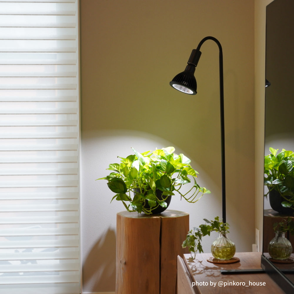 NEO AMATERAS LED 20W】BULB E26 CCT: 5900K – BARREL PLANT LIGHT