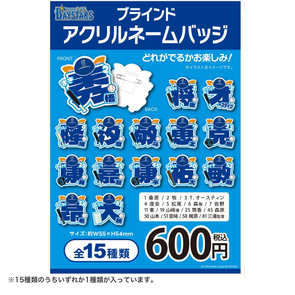 横浜DeNAベイスターズ diana ブラインド直筆アクリル色紙 Yukiha 横浜
