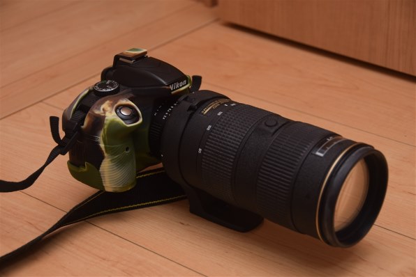 ニコン D3500 ダブルズームキット投稿画像・動画 - 価格.com
