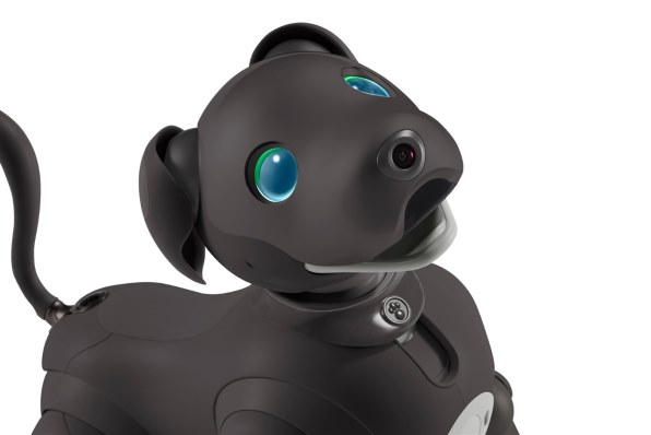aibo 本体 限定色 黒ごまエディション ERS-1000 Sony aibo ERS-1000