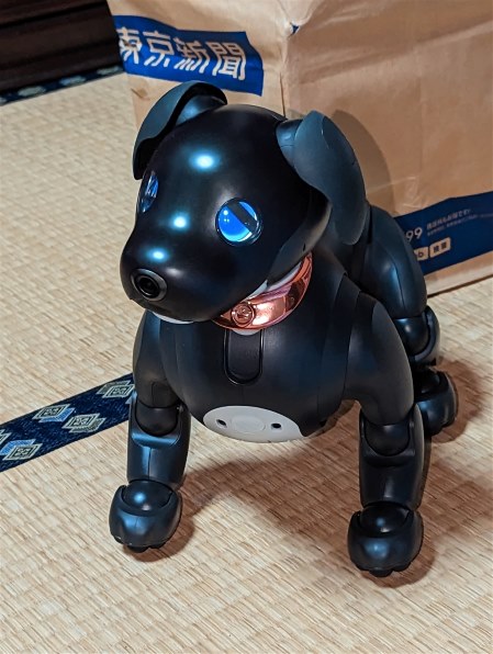 ソニー SONY アイボ ERS-1000 AIBO 犬型 Sony aibo Companion Robot