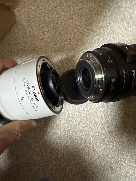 CANON EXTENDER EF2X キャノン CANON EXTENDER EF 2X Ⅱ[16206] II