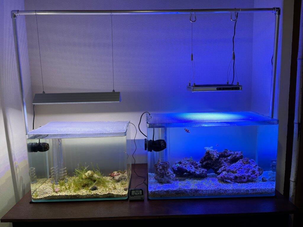 オーバーフロー水槽 中型 LED照明付き 【公式通販】