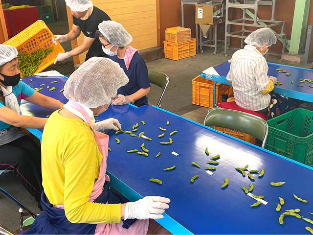 オーラパックすぐ食べレンジ別注品を導入されて」JAグリーン近江