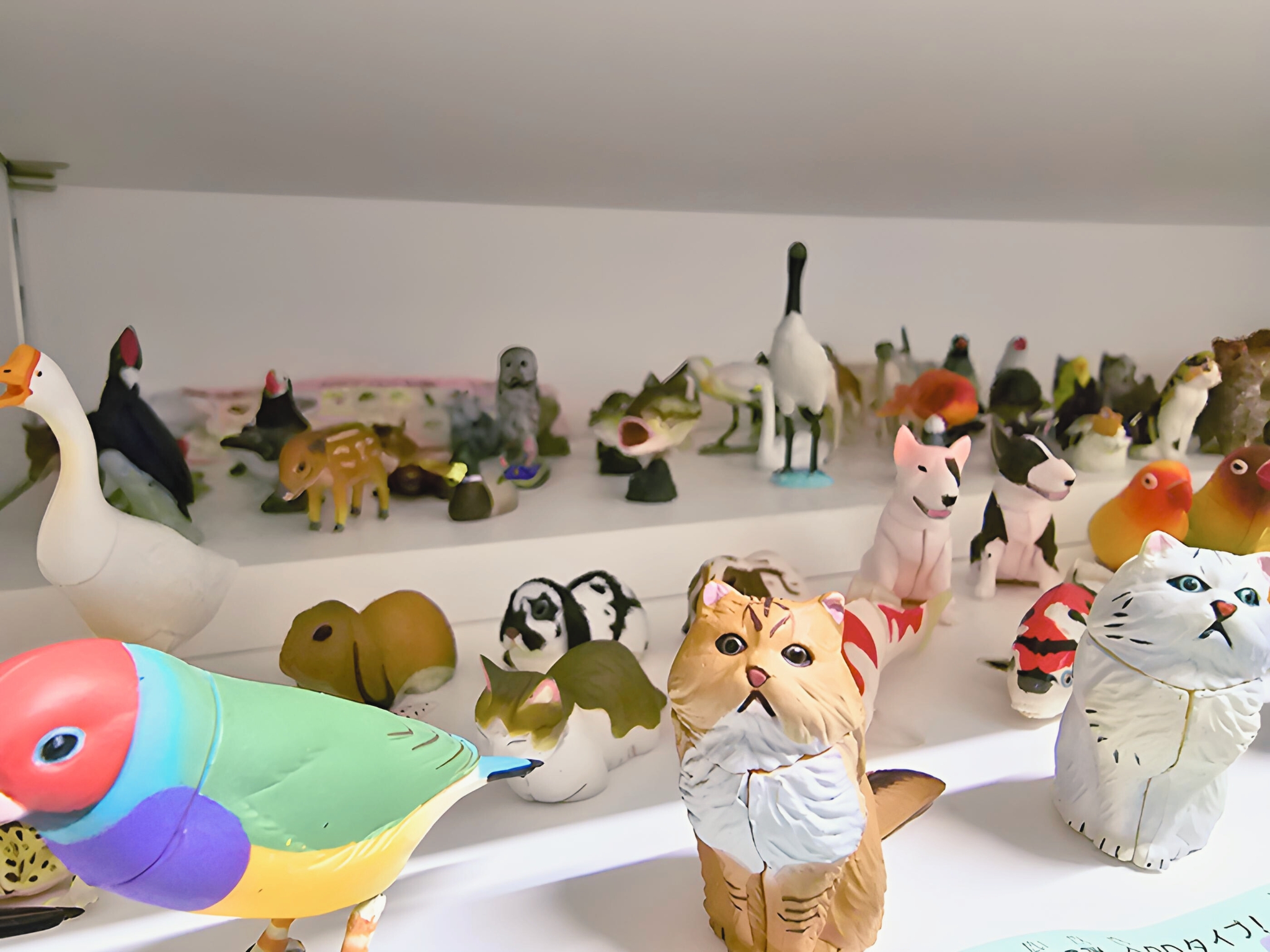 チョコエッグ日本の動物コレクション