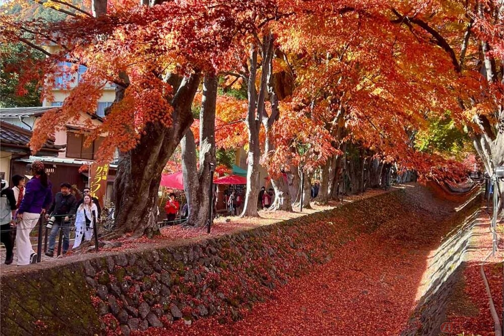 深まりゆく秋を堪能する、紅葉と珈琲の1dayツーリング デイドリップ