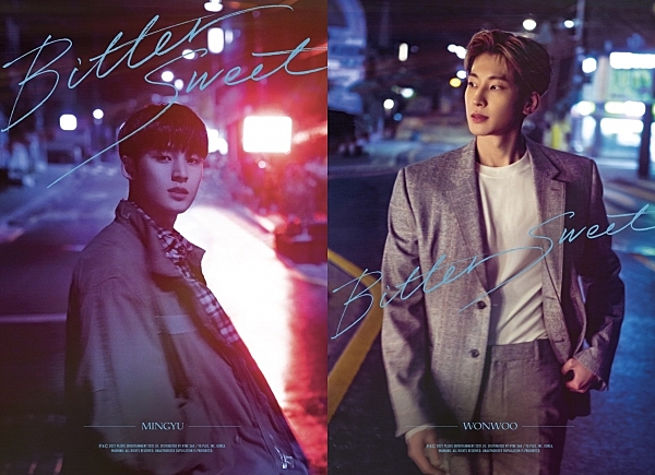 SEVENTEEN ウォヌ ミンギュ Bittersweet ビタスイ トレカ 【公式通販】