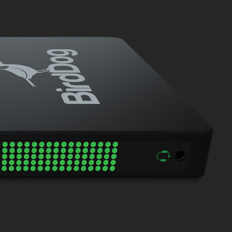 Studio NDI – BirdDog