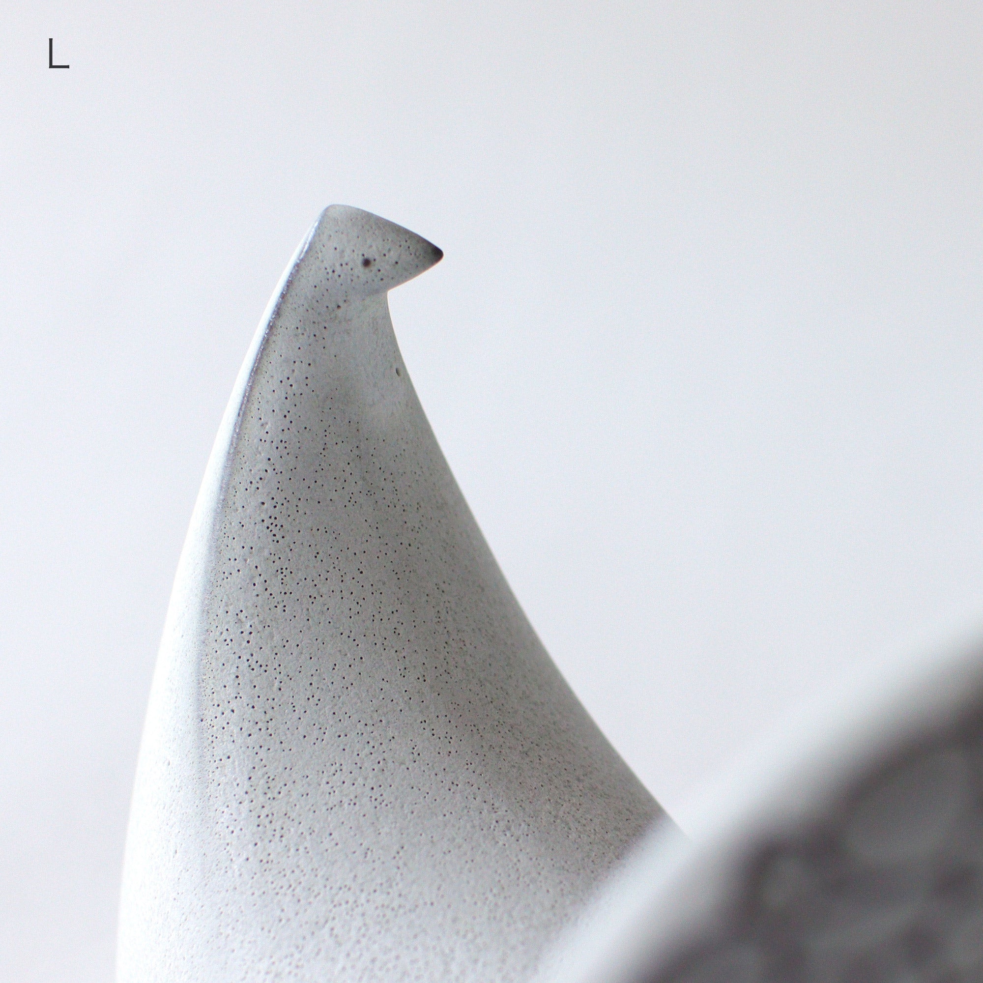 PEACOCK / グレー – BIRDS' WORDS