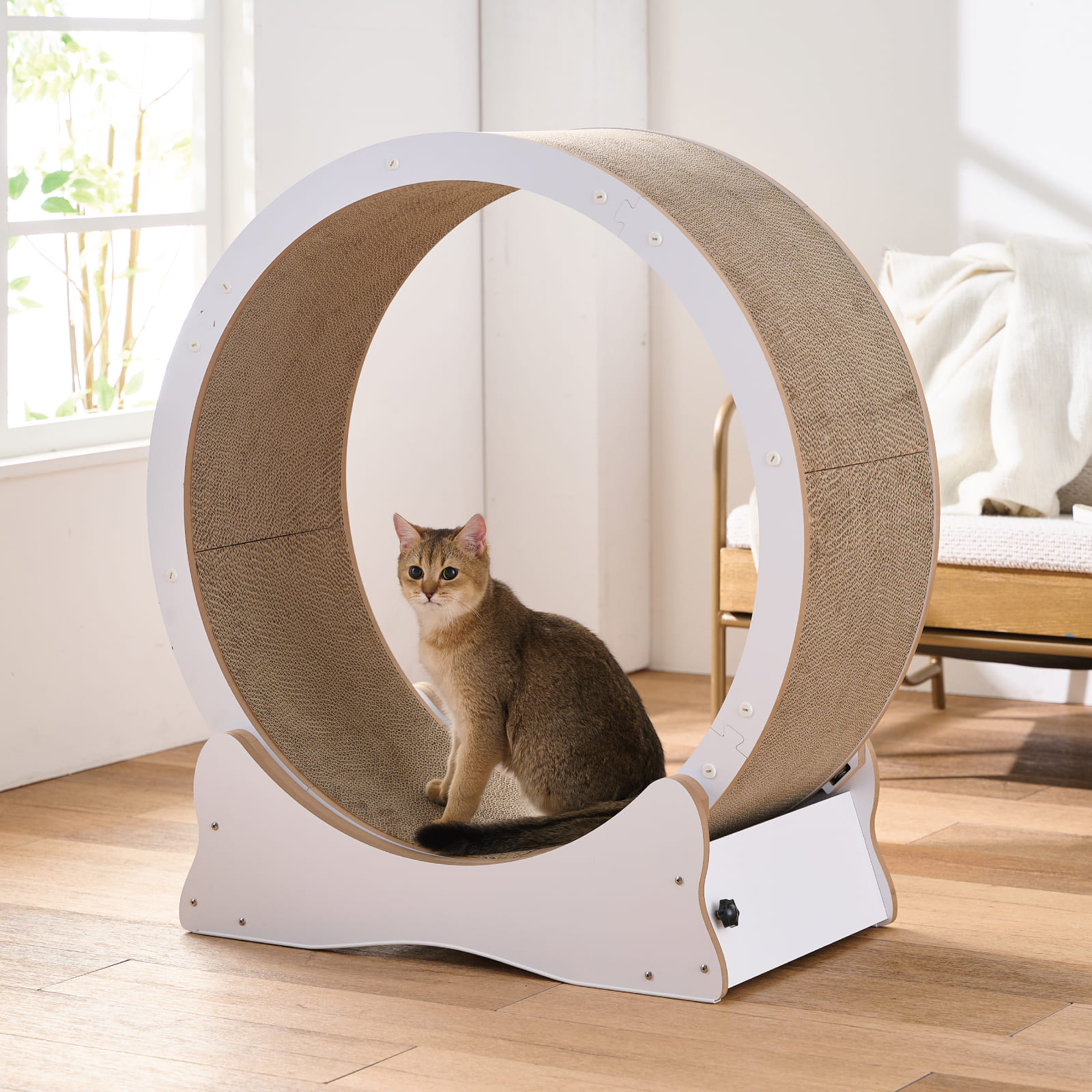 キャットホイール