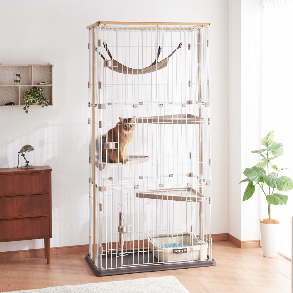 ボンビアルコン オンラインショップ / ウッドワンサークルキャット