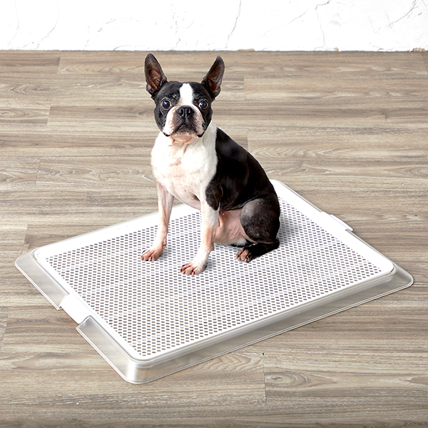 ボンビアルコン トイレトレー クリア XL