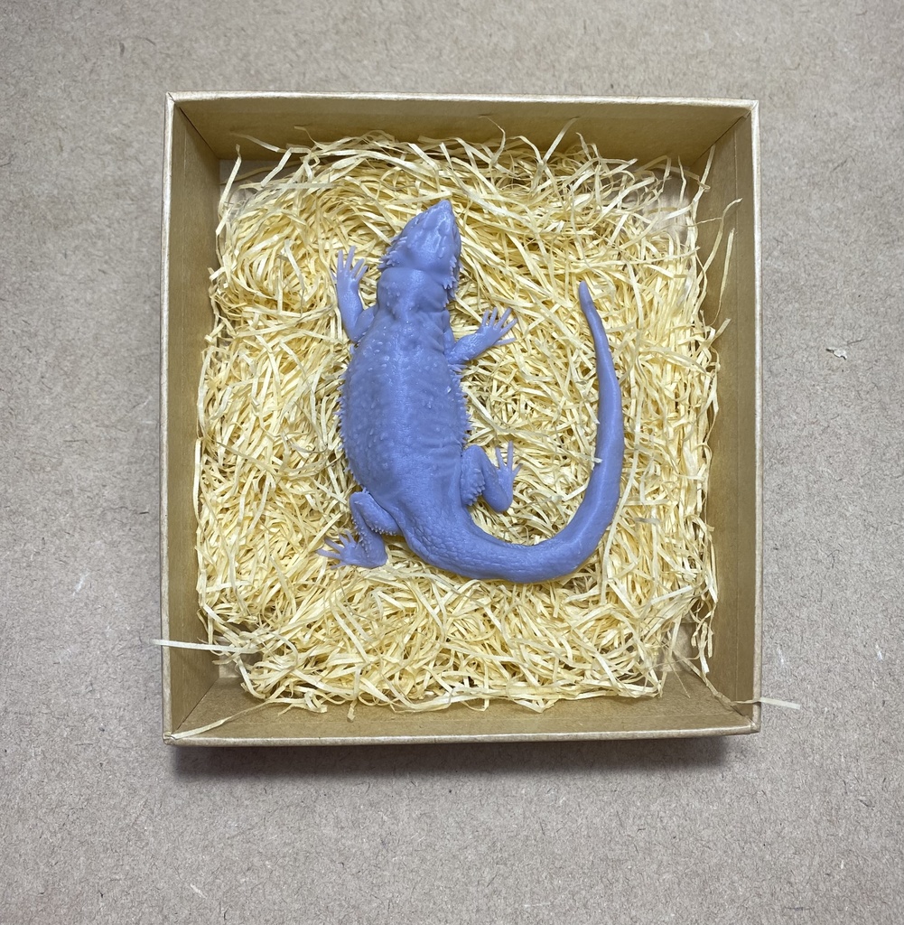 タグ付き 希少 廃盤 シュライヒ フトアゴヒゲトカゲ フィギュア 動物