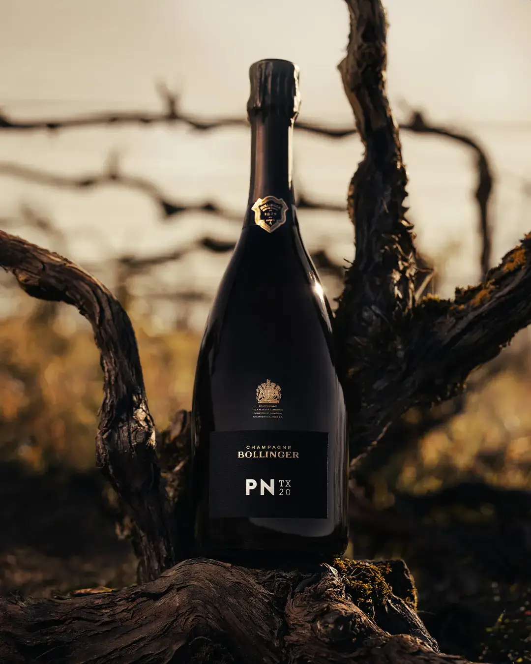 シャンパーニュ 4本セットBollinger等 古酒 NV セラー保管品 2025年