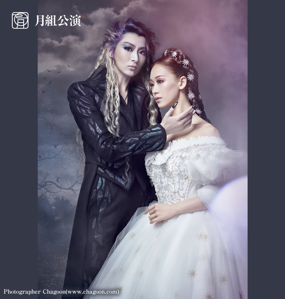 宝塚歌劇団月組DVD【エリザベート】瀬奈じゅん・霧矢大夢・遼河はるひ