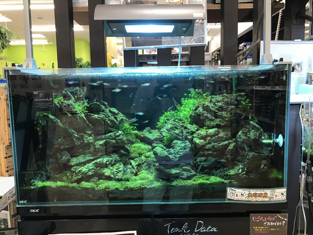 グランドソーラー-I 水槽用照明器具 【公式通販】