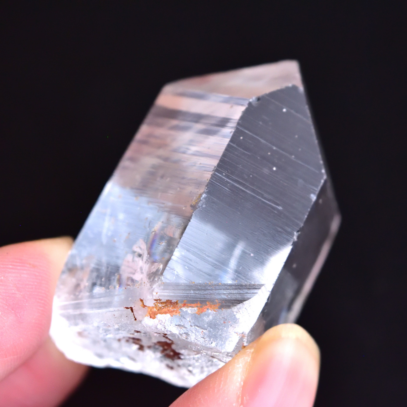 センティエント・プラズマクリスタル ダウ&レコードキーパー Sirius