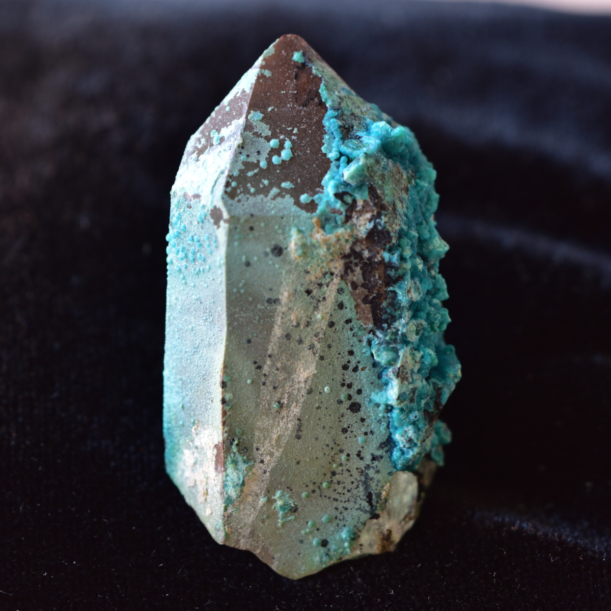 P*l様 『新産地』 クリソコラ 原石 鉱物標本 天然石 665 P*l様 『新