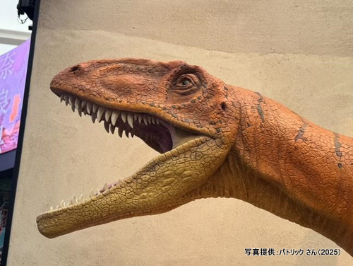 限定】大阪・関西万博 福井県（関西パビリオン） 恐竜 ピンバッジ 限定