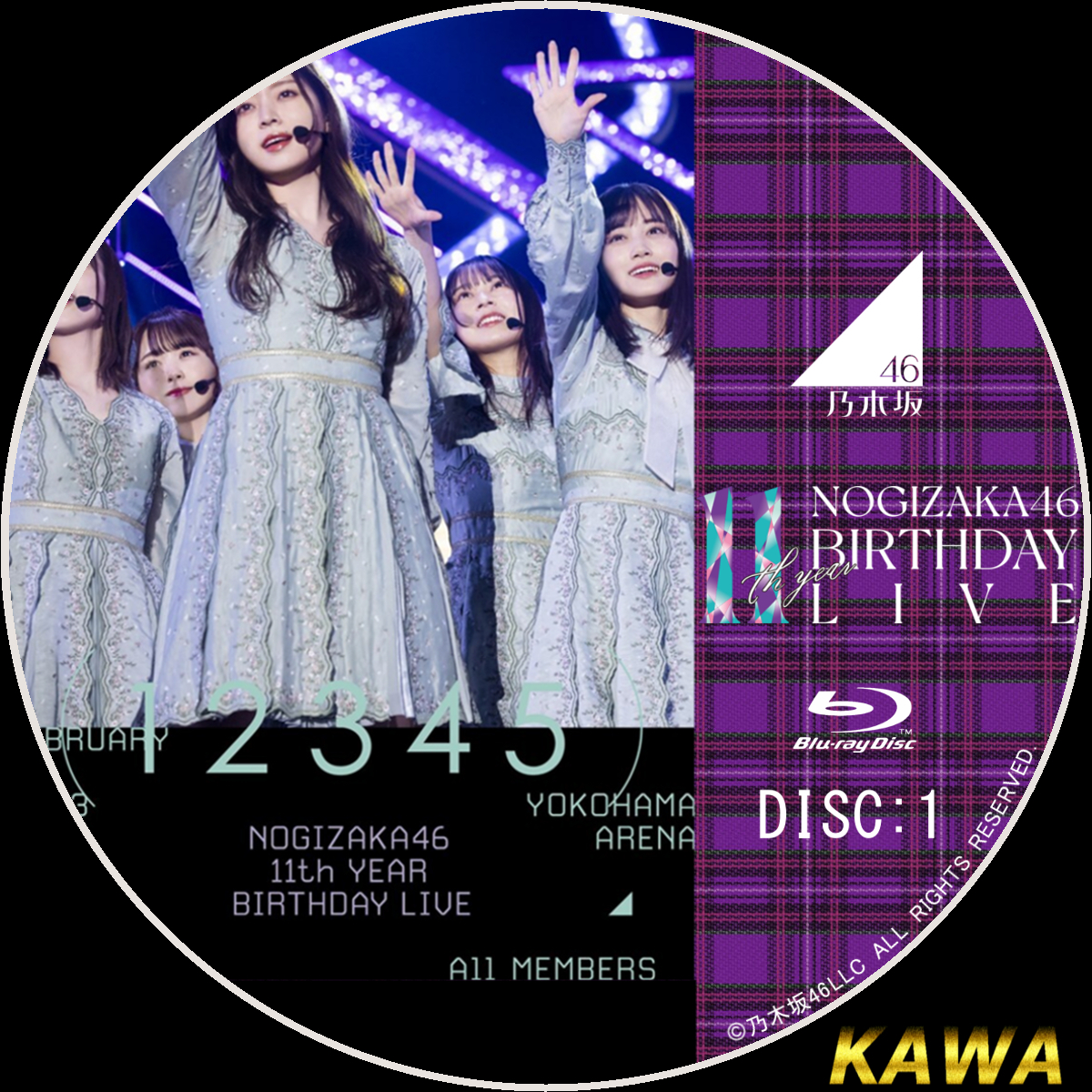 乃木坂46/12th YEAR BIRTHDAY LIVE〈完全生産限定盤・9…
