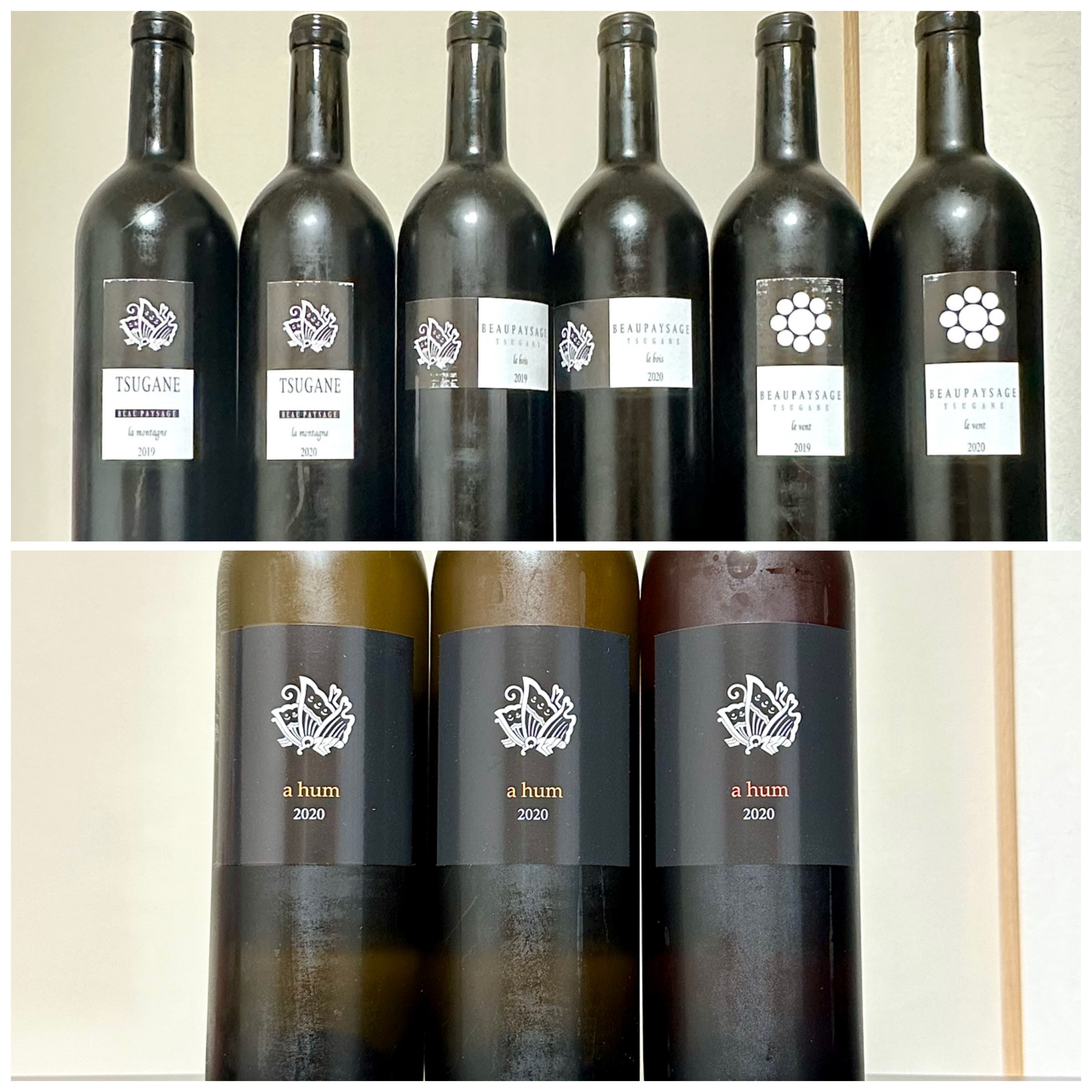 ボーペイサージュ ピノ・ノワール 2019 ボーペイサージュ ピノ