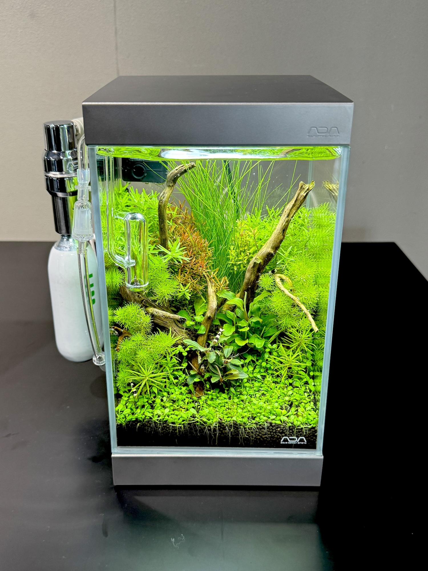 ADA MINI NA フルセット 電磁弁 ADA水槽 DOOA ADAミニNA ADA MINI NA