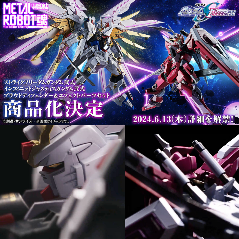 METAL ROBOT魂 ストライクフリーダムガンダム インフィニット セット