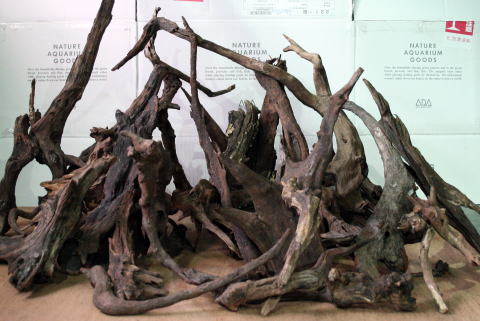 アクアリウム 流木 ブランチウッド ホーンウッド L2795 神畑養魚株式