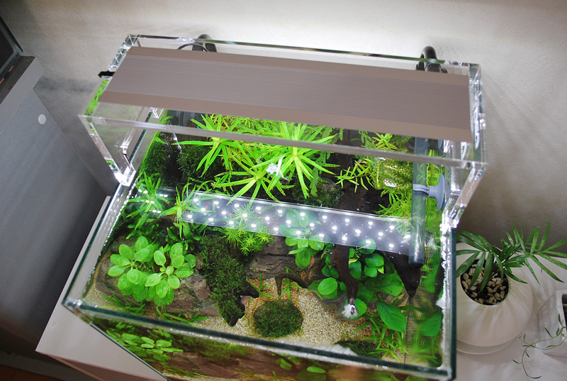 ADA アクアスカイ ムーン 301 ADA アクアスカイムーン301 水槽照明