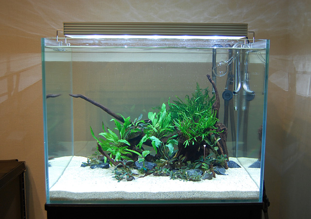 ADA 60*45*45ワイド水槽