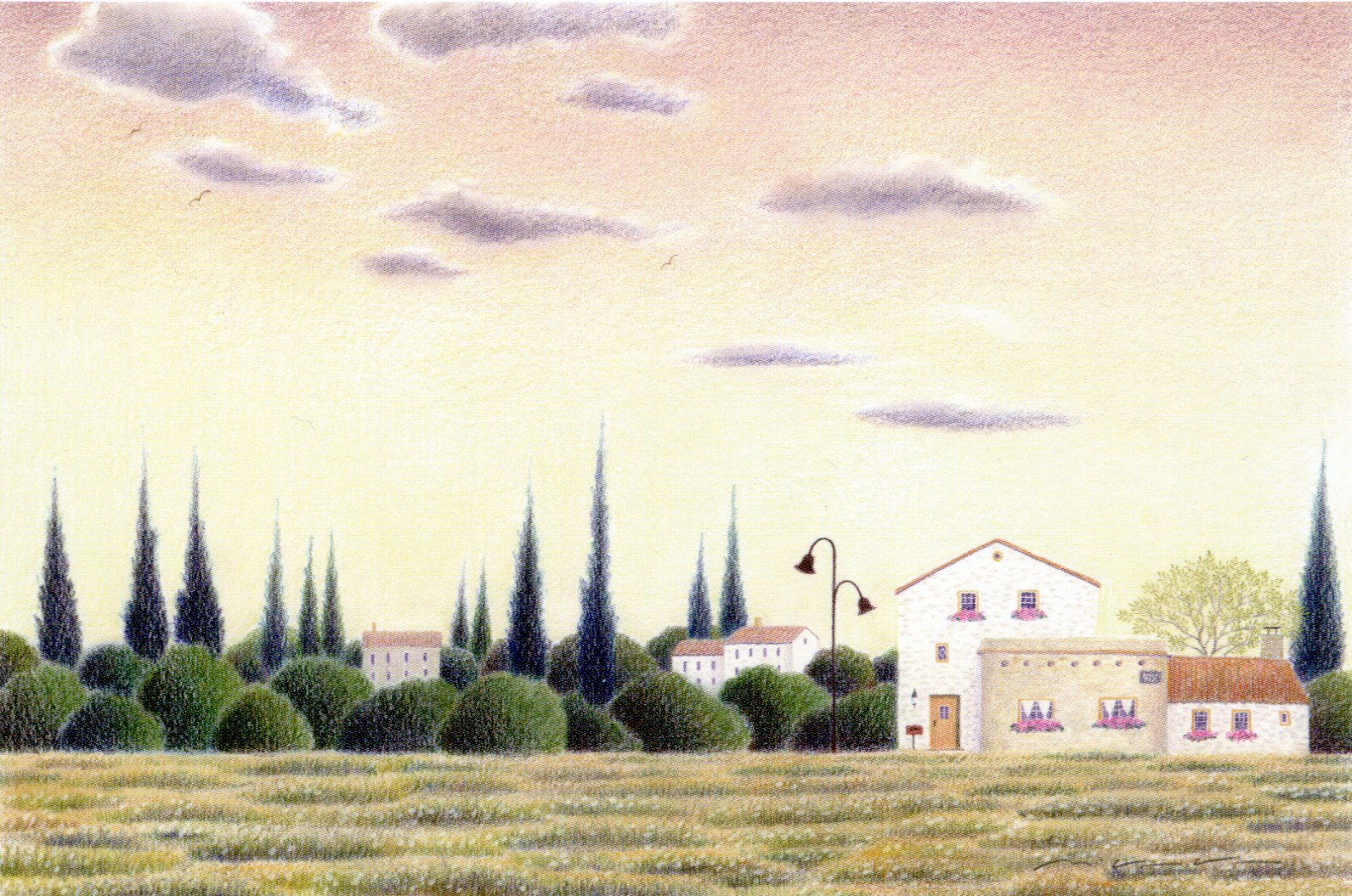 渡辺美香子さん色鉛筆画 2024年後半の個展 | 画家l渡辺美香子の世界