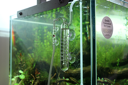 CO2ビートルカウンター ADA CO2 BEETLE COUNTER カボーションルビー