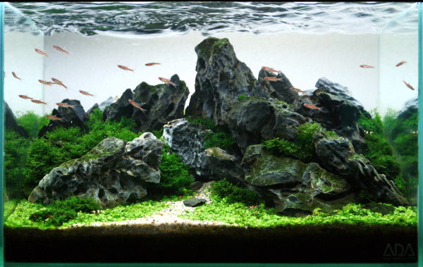 ADA龍王石他60センチ水槽レイアウトセット