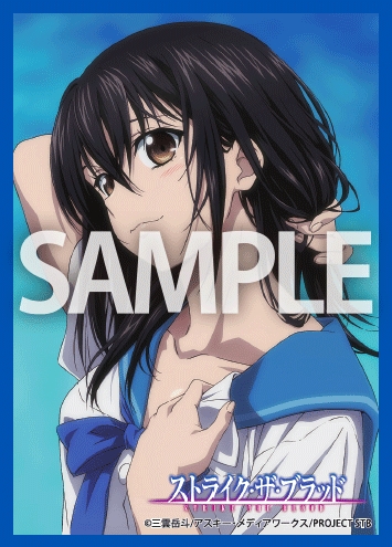 非売品セット 駐屯兵団 訓練兵団 ジーククローネ スリーブ 進撃の巨人