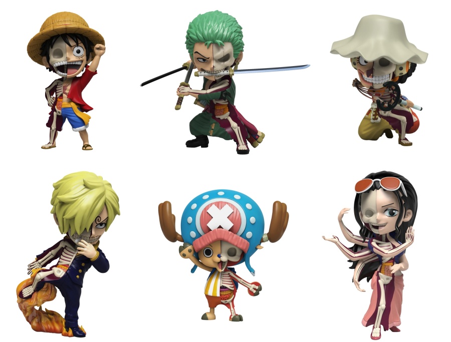 体半分が解剖模型になったONE PIECEフィギュア 【Jason Freeny