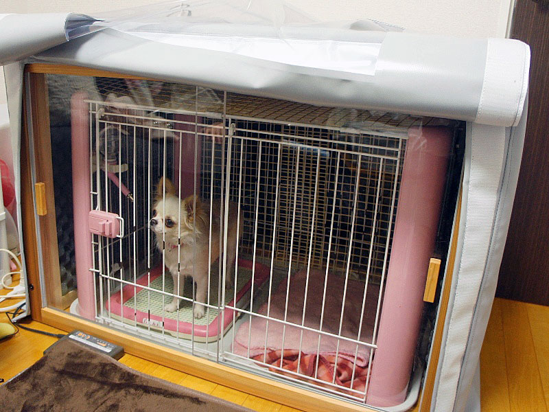 ペット防音ケージ