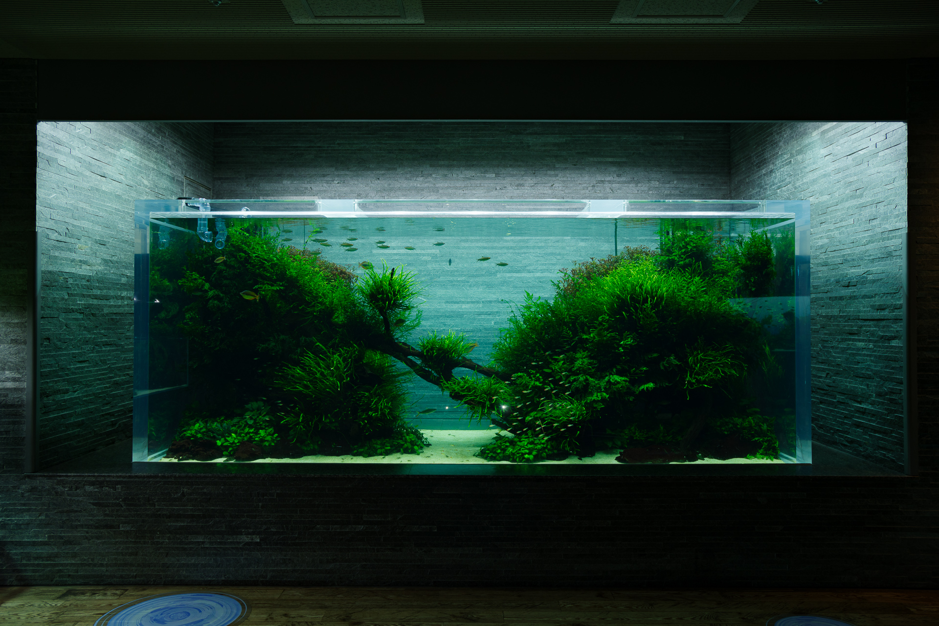 HD DA☆16-50mmF2.8ED PLM AWで「すみだ水族館」を巡る – 酔人日月抄外伝