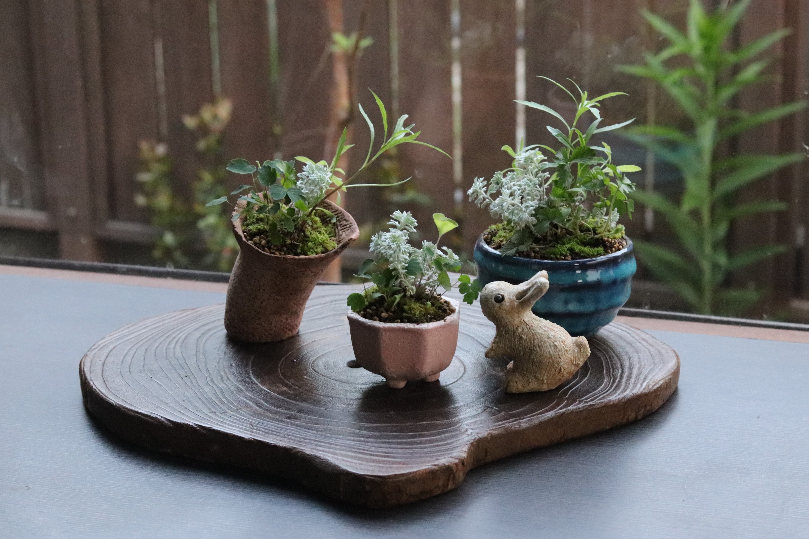 四方植木鉢 紫砂の鉢盆栽鉢 植木鉢 小品盆栽鉢 大品盆栽鉢 浦口