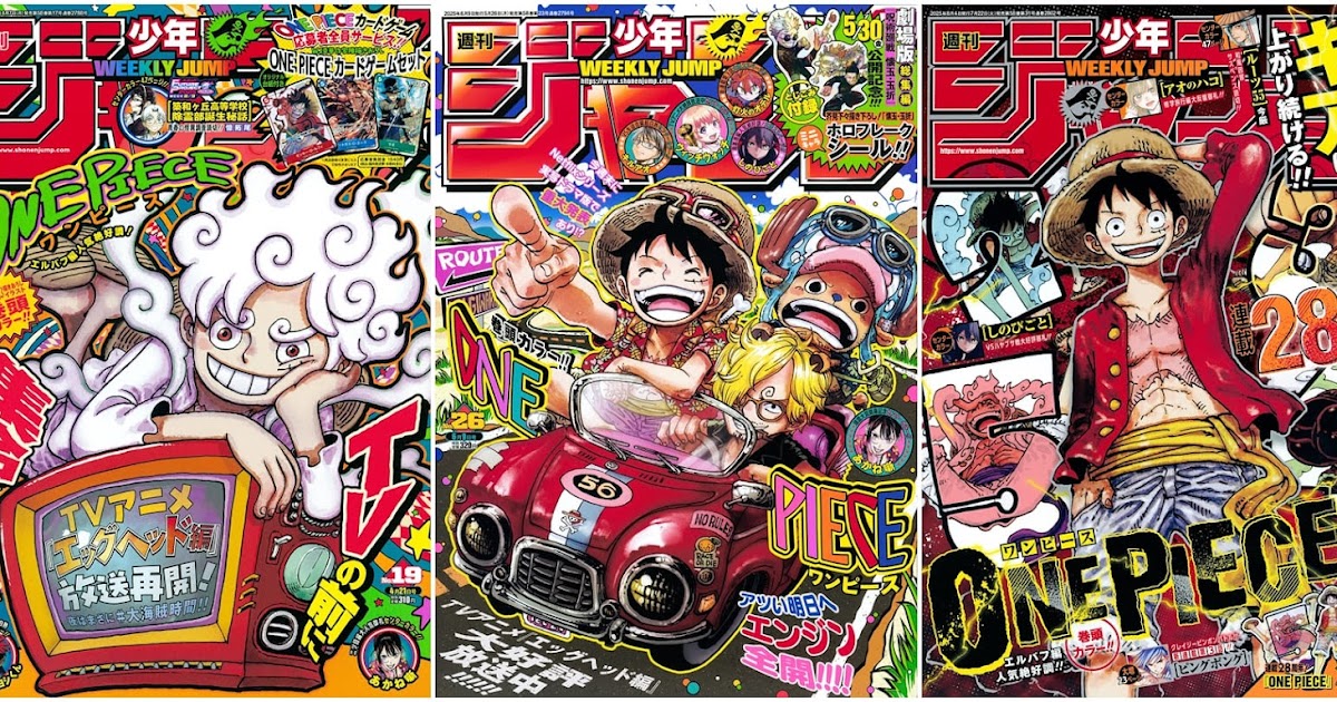 ワンピース 当選品 第981話「参戦」扉絵カラー複製原画
