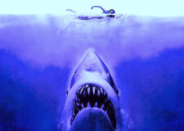 ジョーズ 1975年 | 私の備忘録（映画・TV・小説等のレビュー） サメ 鮫