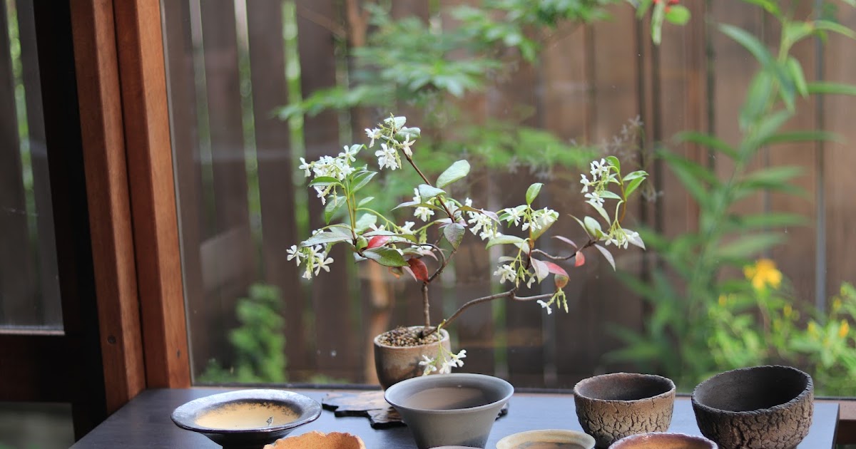 盆栽鉢【常滑、松泉焼】 盆栽 鉢 60cm 大型 特大 常滑焼 松泉焼 山秋