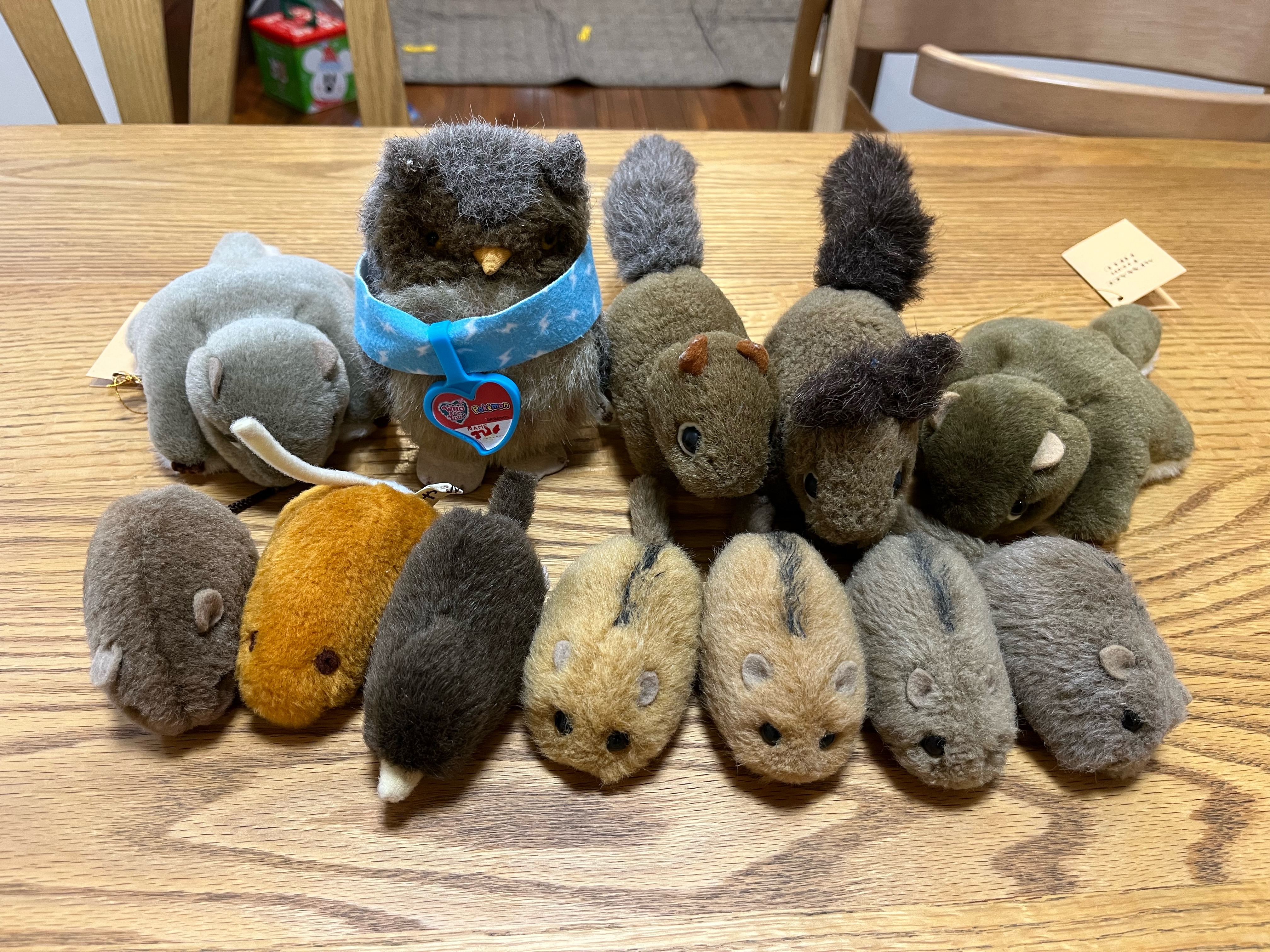 ぬいぐるみ写真のご紹介