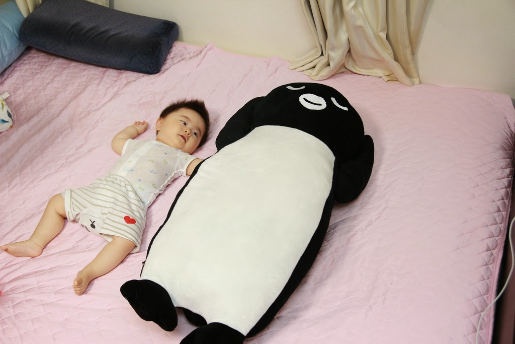 Suica の ペンギン 抱き枕 当選品 スイカ Suica の ペンギン 抱き枕