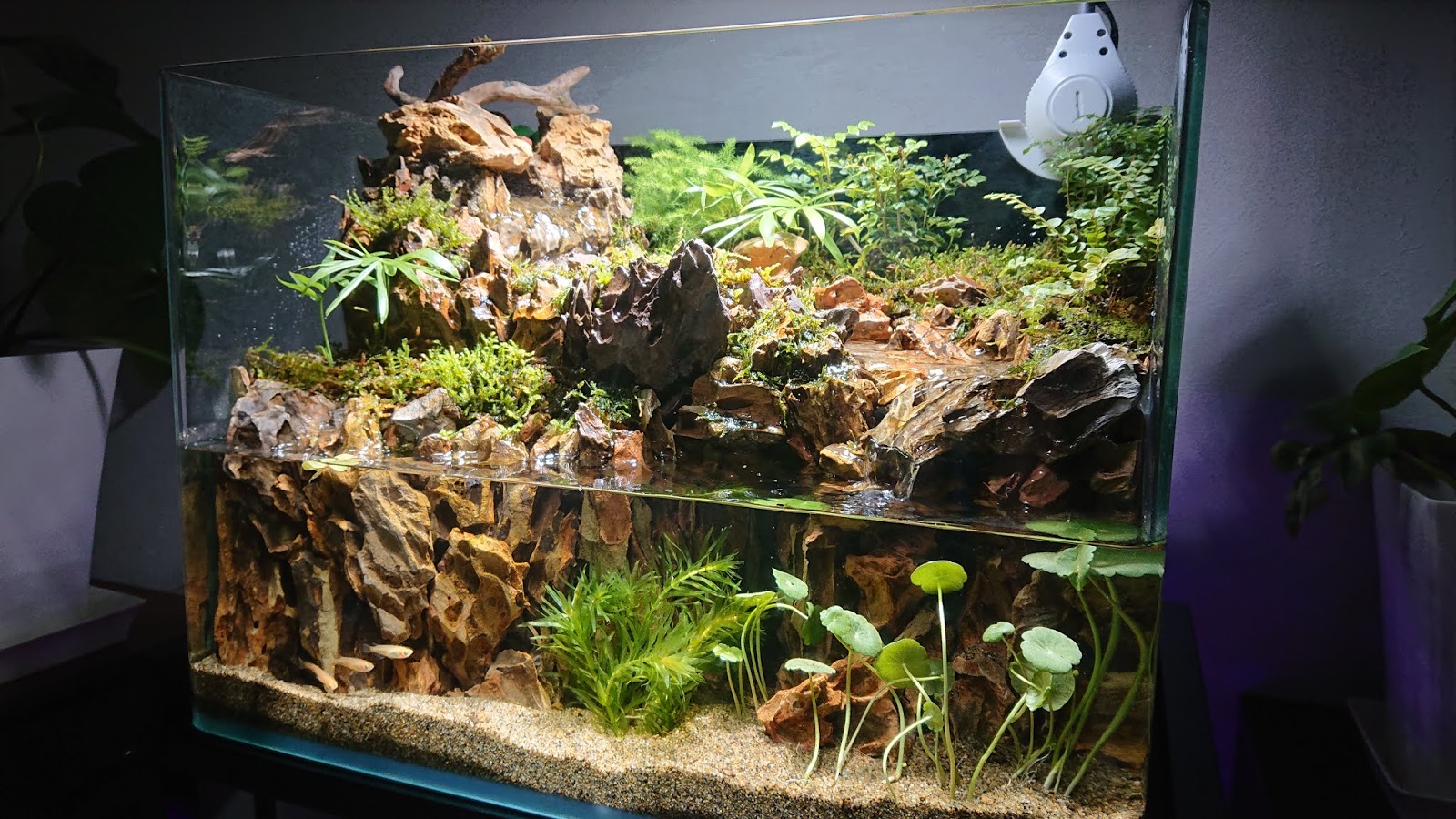 受注生産】 滝と渓流のアクアテラリウム 30センチ水槽 滝の流れる